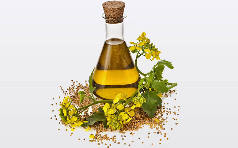 خرید روغن کانولا