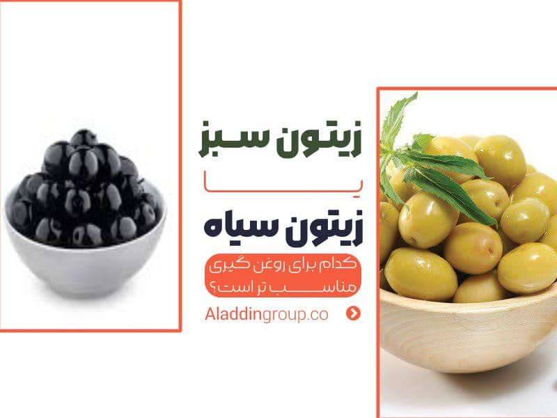 زیتون سبز یا زیتون سیاه؟