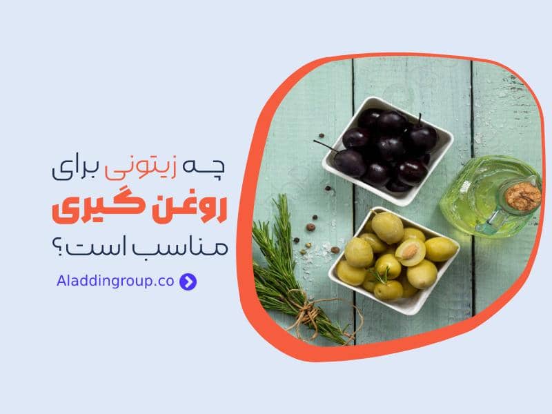 چه زیتونی برای روغن گیری مناسب است؟