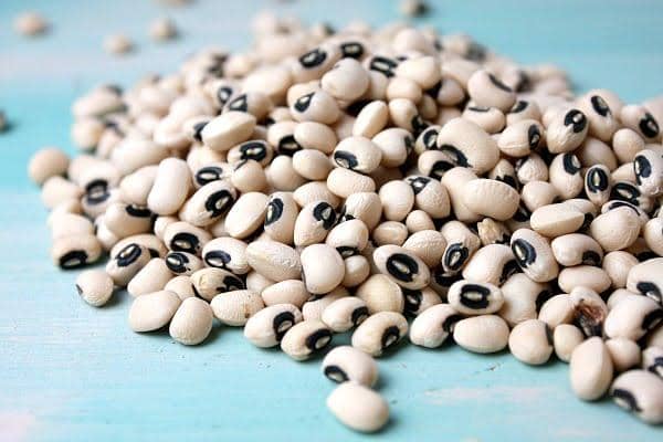 فروش عمده لوبیا چشم بلبلی