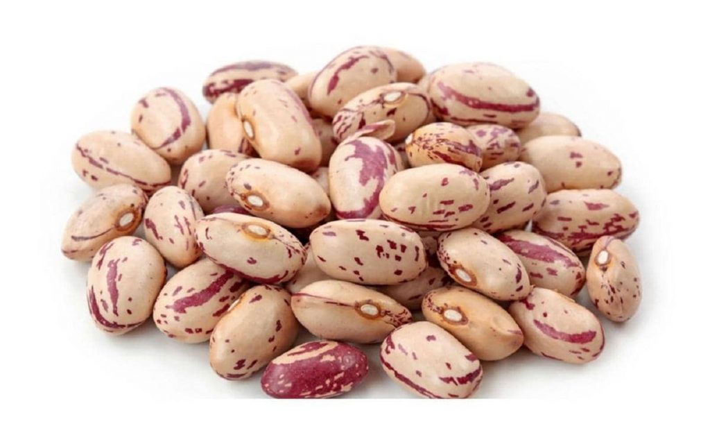 قیمت لوبیا چیتی عمده