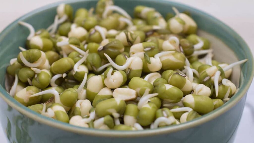 جوانه ماش برای پخت پلو جوانه ماش