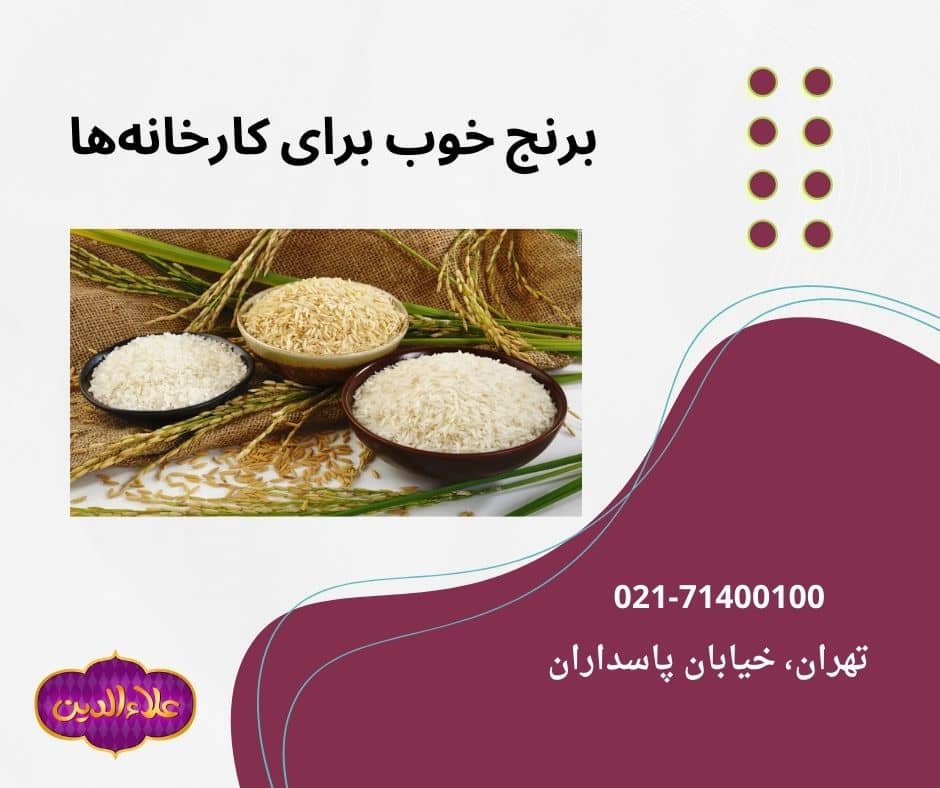 بهترین نوع برنج برای کارخانه‌ها