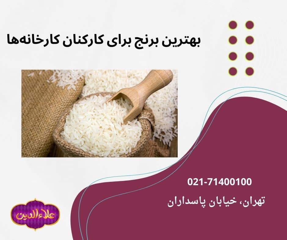بهترین برنج برای کارخانه‌ها
