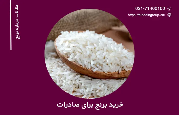 خرید برنج برای صادرات به عراق – ترکیه – افغانستان – اروپا