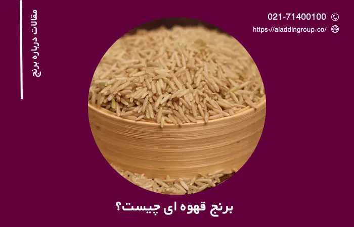 برنج قهوه ای چیست؟ – بررسی خواص، مزایا و طرز پخت