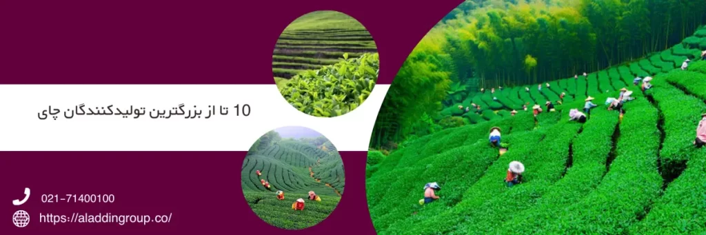 10 تا از بزرگترین تولیدکنندگان چای