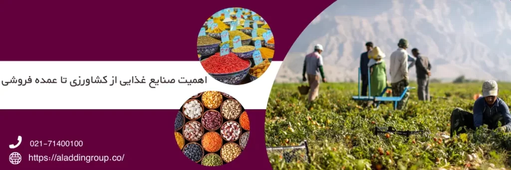 اهمیت صنایع غذایی از کشاورزی تا عمده فروشی