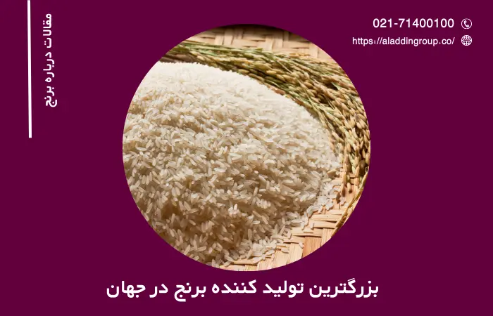 بزرگترین تولید کننده برنج در جهان