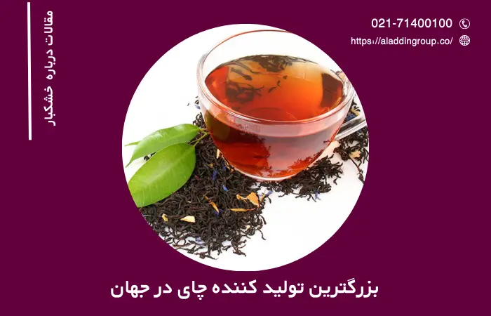 بزرگترین تولید کننده چای در جهان