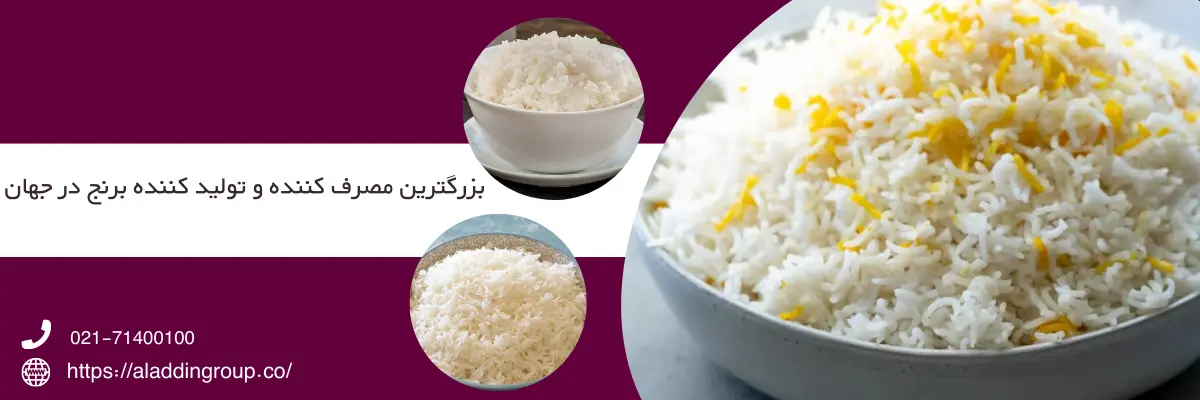 بزرگترین کشور های مصرف کننده و تولید کننده برنج در جهان