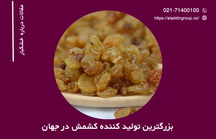 بزرگترین تولید کننده کشمش در جهان