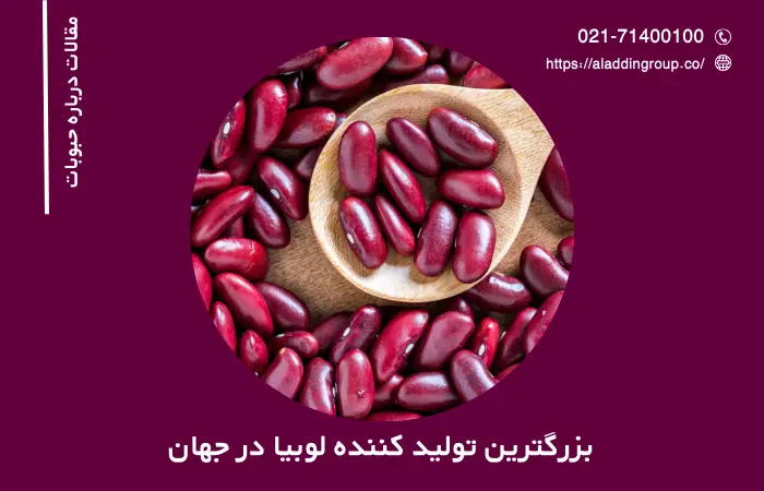 بزرگترین تولید کننده لوبیا در جهان