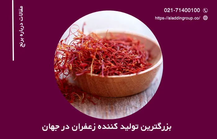 بزرگترین تولید کننده زعفران در جهان