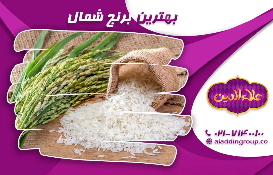 بهترین برنج شمال (انواع برنج مازندران)
