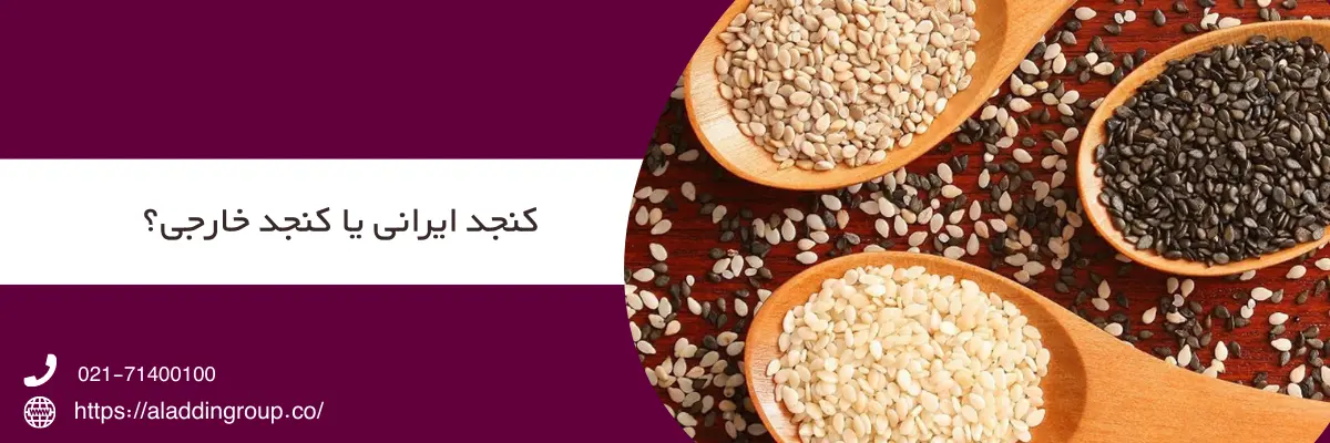 کنجد ایرانی و خارجی برای روغن گیری