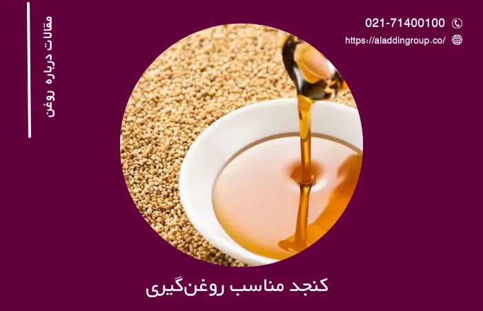 کنجد مناسب برای روغن‌گیری