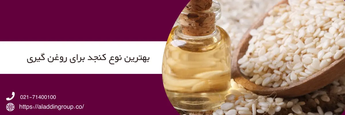 بهترین نوع کنجد روغن گیری