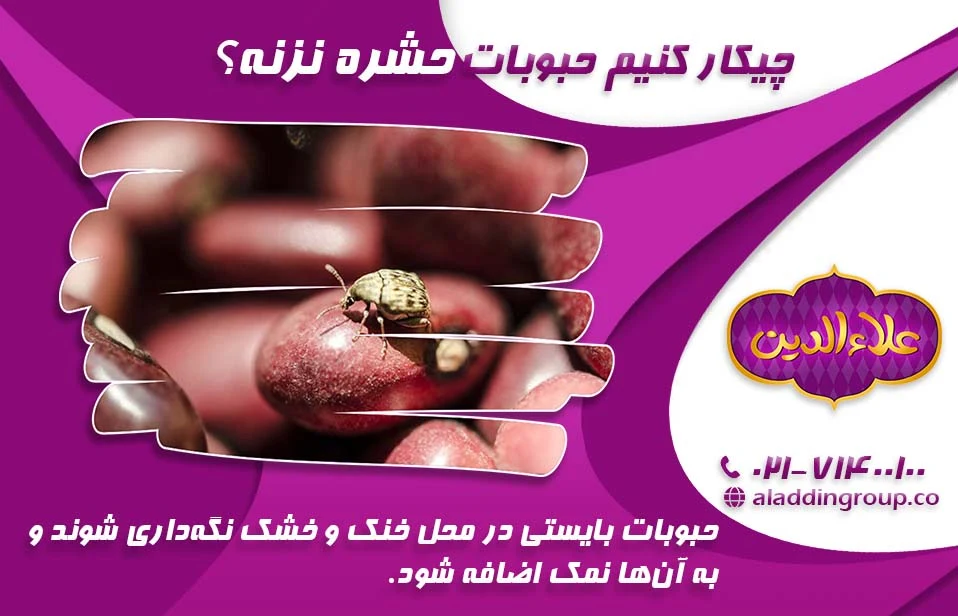 چیکار کنیم حبوبات حشره نزنه؟