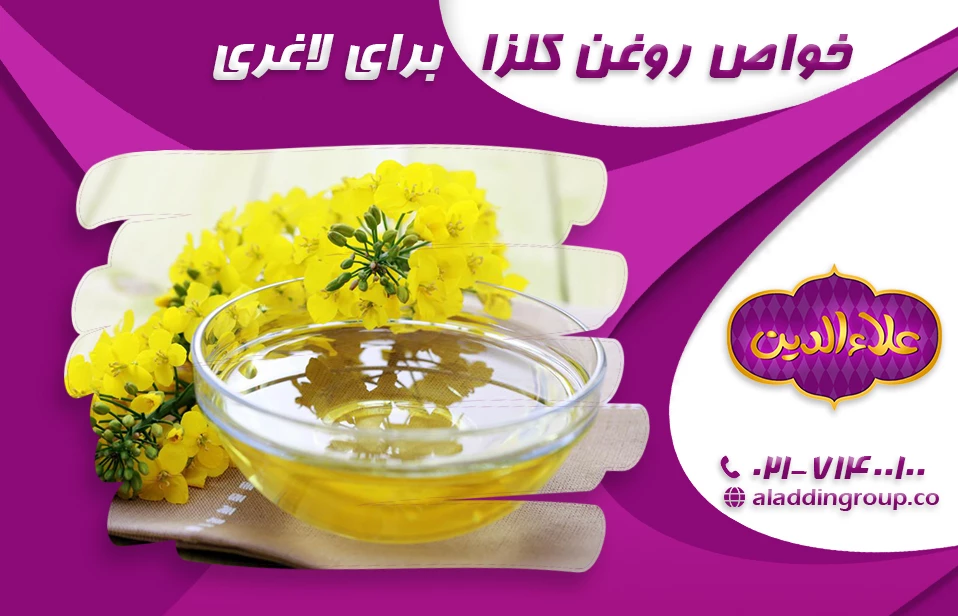 خواص روغن کلزا برای لاغری