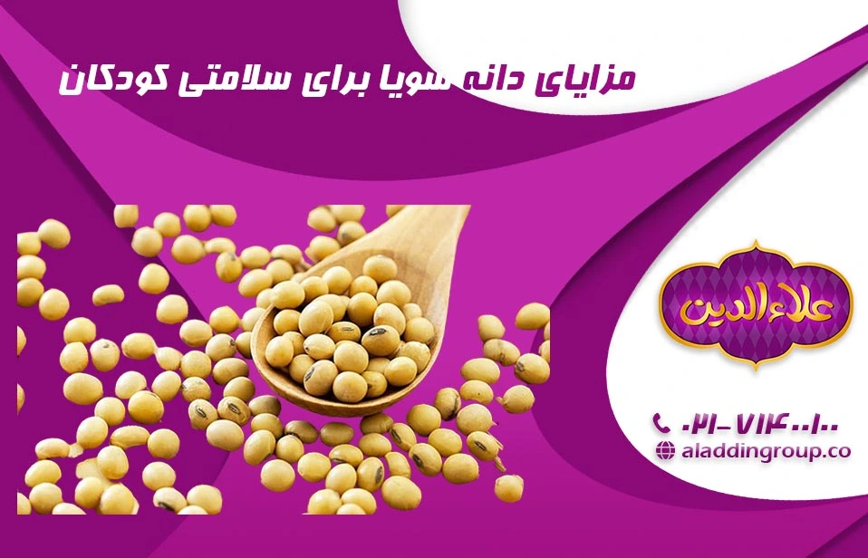مزایای دانه سویا برای سلامتی کودکان