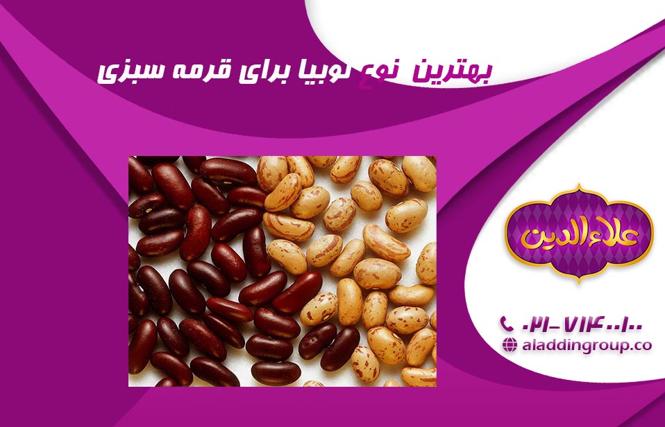 لوبیا چیتی یا قرمز؟ کدام بهتر است؟
