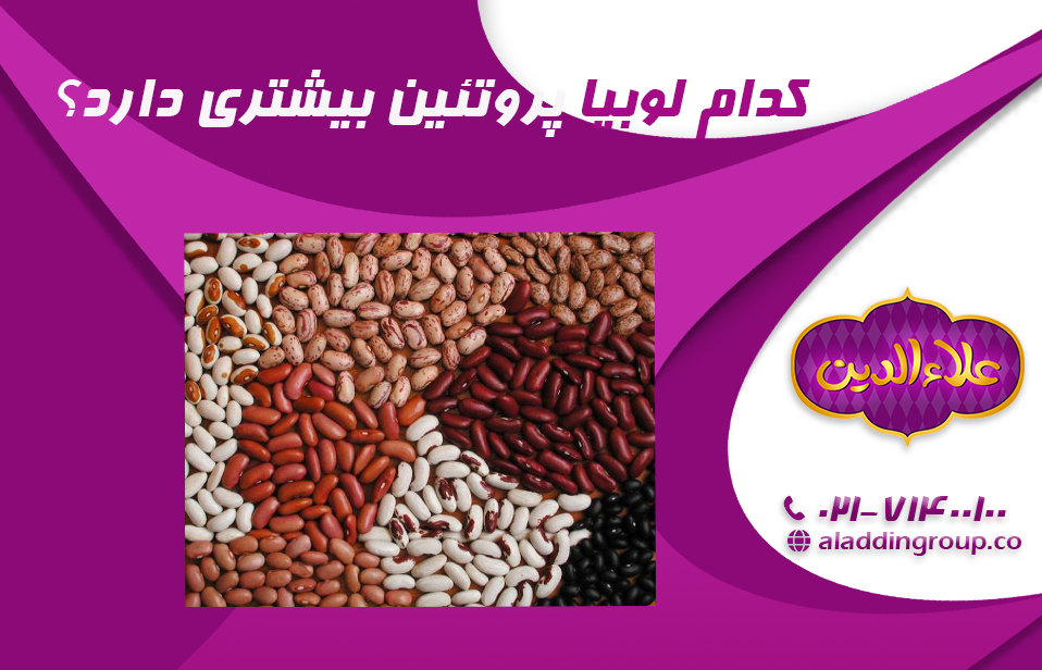 کدام لوبیا پروتئین بیشتری دارد؟