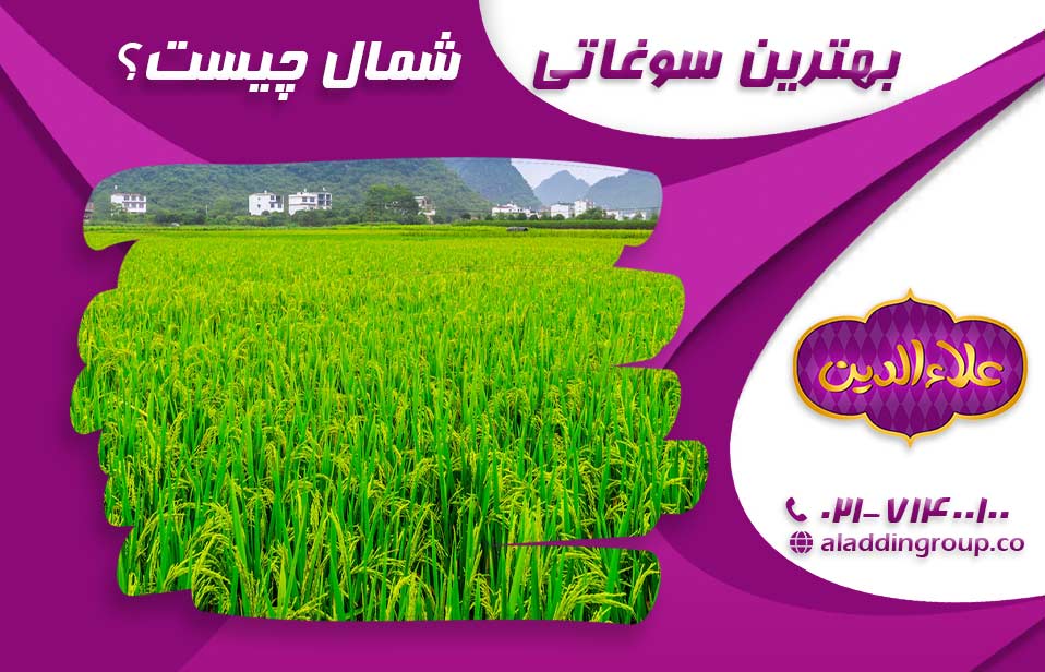 بهترین سوغاتی شمال چیست؟