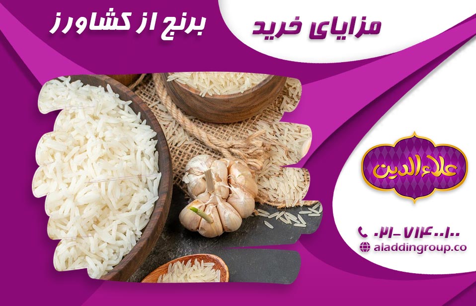 مزایای خرید برنج از کشاورز