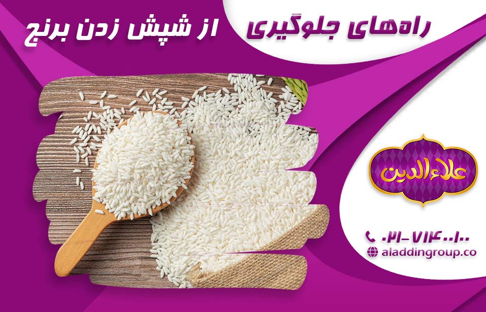 از شپشک زدن برنج جلوگیری کنید 
