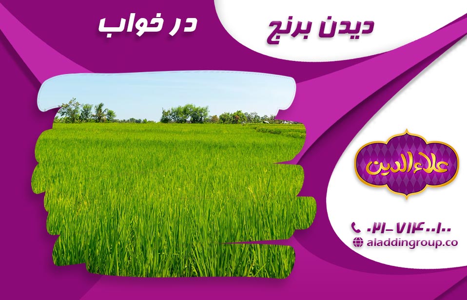 دیدن برنج در خواب 