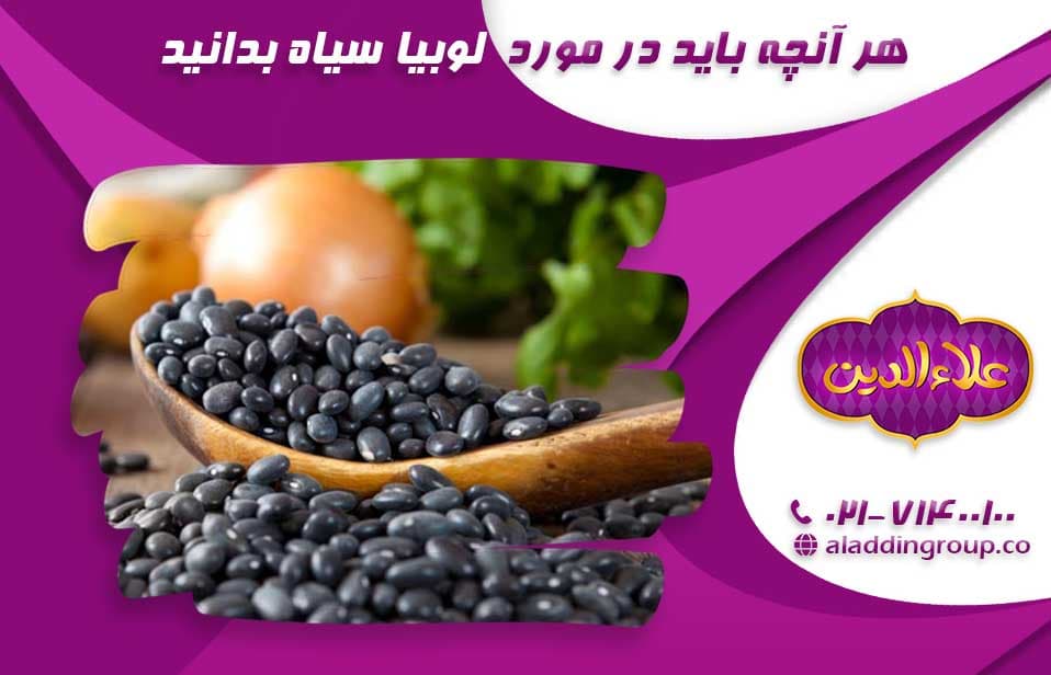 هر آنچه باید در مورد لوبیا سیاه بدانید. (7 مورد از خواص لوبیا سیاه)