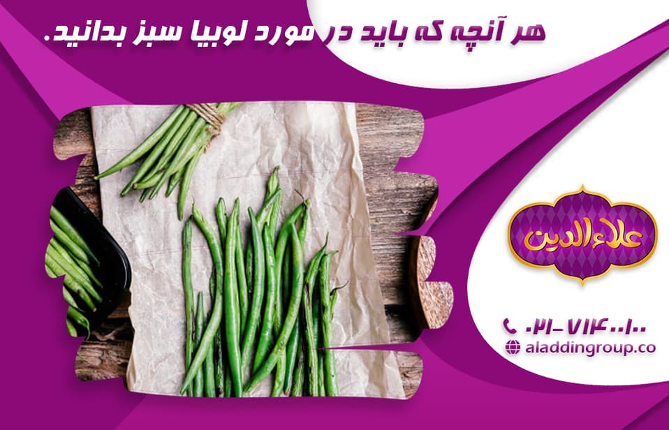 هر آنچه که باید در مورد لوبیا سبز بدانید. (فواید و مضرات مصرف لوبیا سبز)