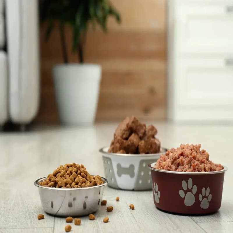 بهترین غذای حیوانات خانگی برای انبار کردن در فروشگاه (معرفی 5 تا از بهترین برندهای غذای حیوانات خانگی)