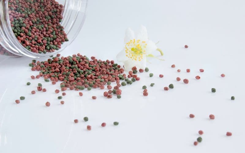 بهترین غذای ماهی برای فروشگاه خرده فروشی