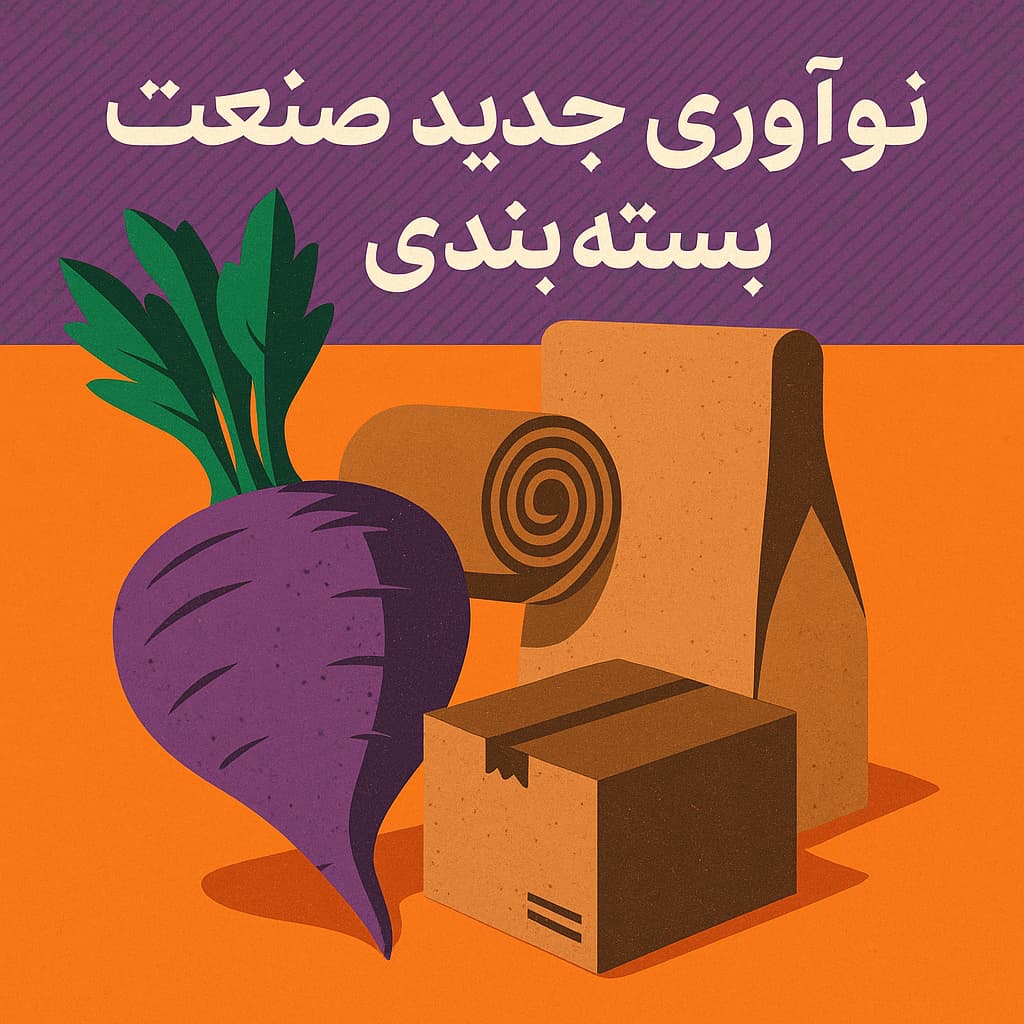 تفاله چغندر قند؛ نوآوری جدیدی که صنعت بسته‌بندی را متحول می‌کند