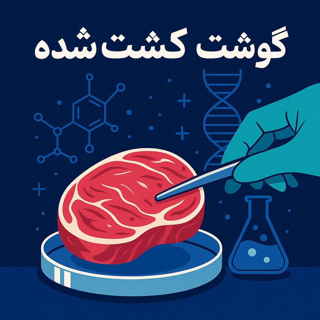 گوشت کِشت‌شده؛ فناوری نوظهور در دل صنعت غذایی آینده